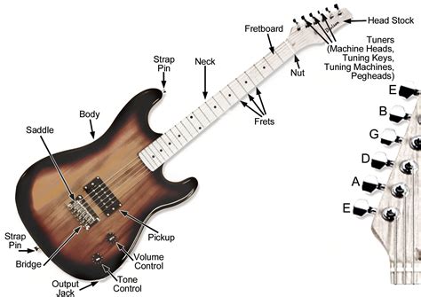 ELECTRONICS PARTS - ESP Guitars