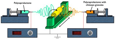Electrospun Polycaprolactone Scaffolds Under Strain and Their ... - wintechmobiles.com