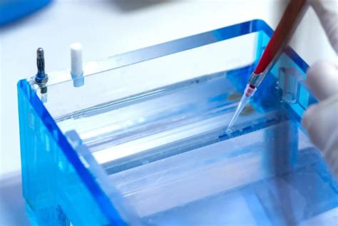 Elektroforesis Sebagai Alat Pengajaran di Laboratorium Biologi ... - muktibox.com