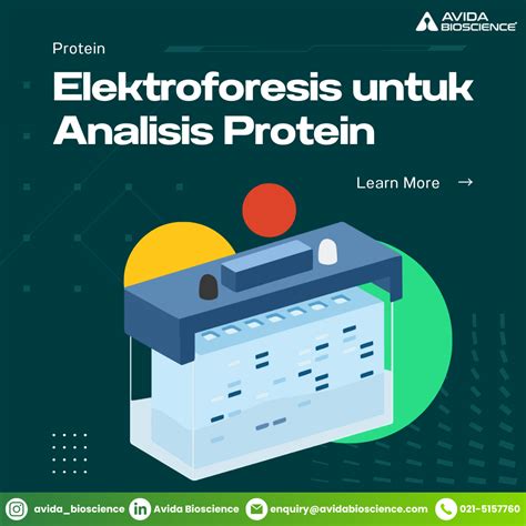 Elektroforesis untuk Analisis Protein - AVIDA Bioscience - muktibox.com