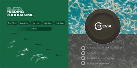 Elevia Advancing Shrimp Hatcheries with Sustainable … - raincitystudios.com