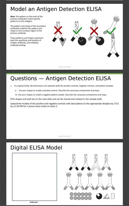 ELISA negative control and serum quality control? ResearchGate