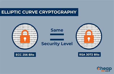 Elliptic-curve cryptography - wintechmobiles.com