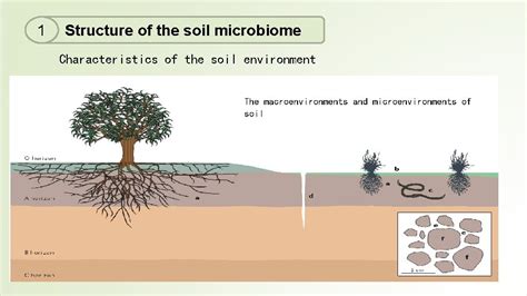 Embracing the unknown: disentangling the complexities of the soil ... - raincitystudios.com
