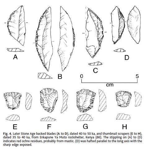 Emergence of a Blade Industry and Evolution of Late Paleolithic ... - wintechmobiles.com