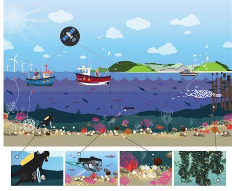 Emerging themes to support ambitious UK marine biodiversity ... - raincitystudios.com