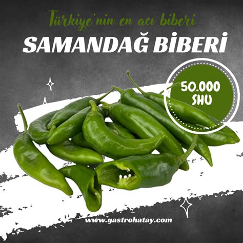 EN İYİ Samandağ Oda&Kahvaltı işletmeleri Tripadvisor.