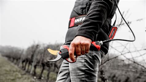 EN - Electronic pruning shears F3010 in viticulture - INFACO