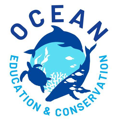 Enabling marine conservation through education: Insights from the ... - raincitystudios.com