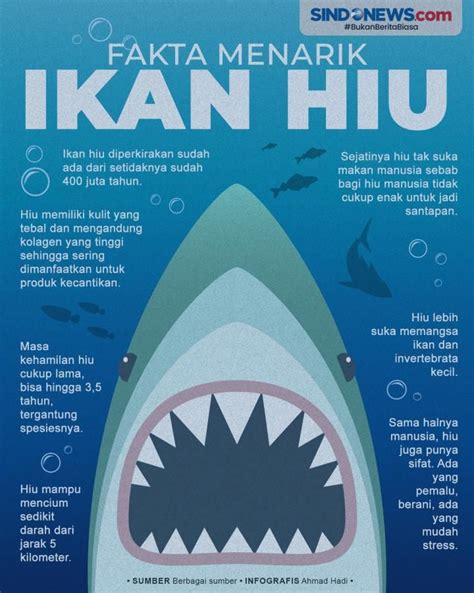 Enam Fakta Hiu Putih - Semua halaman | National … - raincitystudios.com