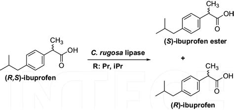 Enantioselective esterification of ibuprofen with ethanol as reactant ... - wintechmobiles.com