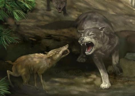 End of the Big Beasts | NOVA | PBS - wintechmobiles.com