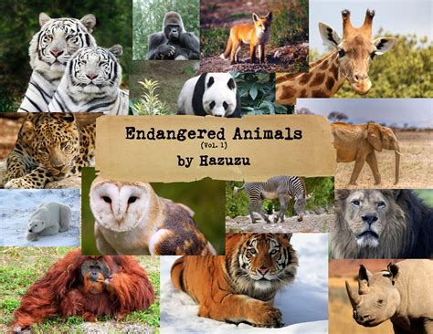 Endangered Pictures - wintechmobiles.com