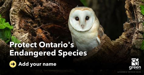 Endangered Species Ontario - wintechmobiles.com