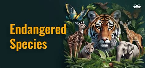 Endangered Species Wildlife - wintechmobiles.com