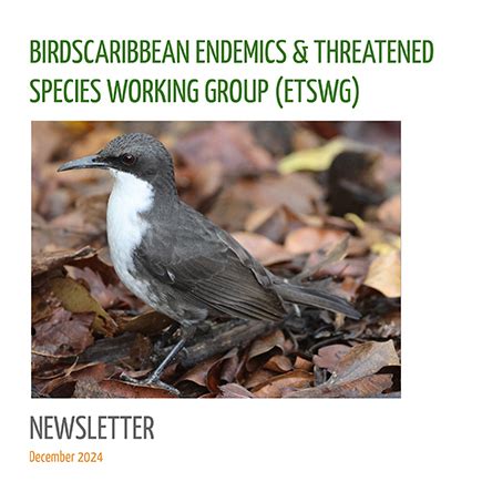 Endemic and threatened birds as surrogates for … - raincitystudios.com