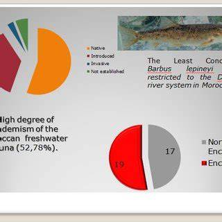 Endemism and Conservation of the Native Freshwater Fish Fauna of ... - raincitystudios.com