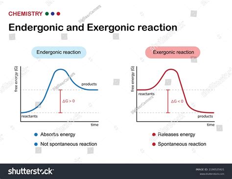 Endergonic reaction - wintechmobiles.com