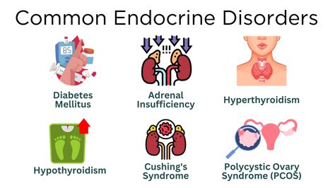 Endocrine System Disorders - Detroit Medical Center - muktibox.com