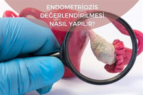 codini.rgarabwor.edu.pl. 