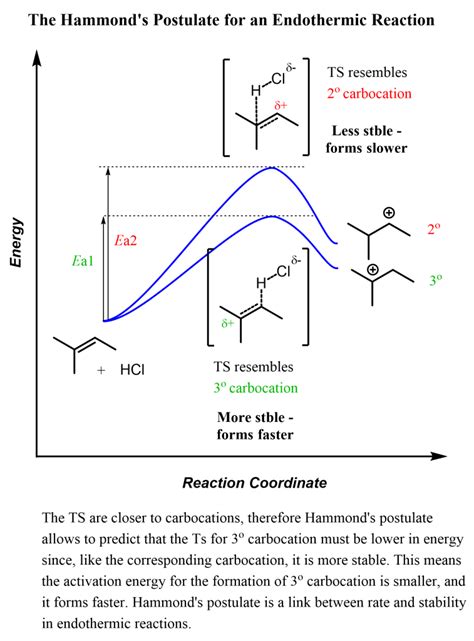 Endothermic: Organic Chemistry Study Guide | Fiveable - wintechmobiles.com