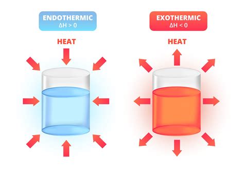 Endothermic And Exothermic - wintechmobiles.com