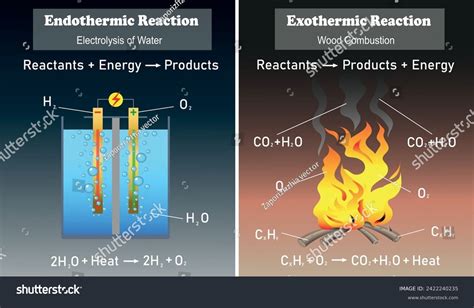 Endothermic vs. Exothermic Reactions | Process & Examples - wintechmobiles.com