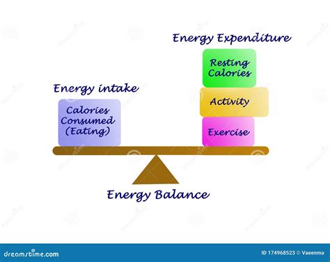 Energy expenditure - muktibox.com