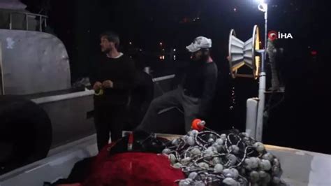 codini.rgarabwor.edu.pl. 