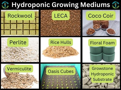 ENH1359/EP623: Common Media Used in Hydroponics