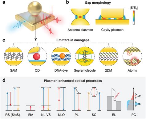 Enhanced light–matter interaction in plasmonic nanocavities: principle ... - wintechmobiles.com