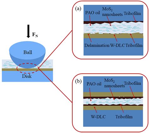 Enhanced tribological and corrosion performance of WS2-DLC/DLC ... - wintechmobiles.com