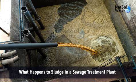 Enhancement of sewage sludge thickening and energy self ... - PubMed - raincitystudios.com