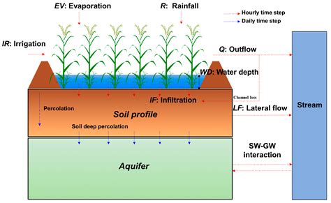 Enhancement of the SWAT+ model for simulating paddy rice … - wintechmobiles.com
