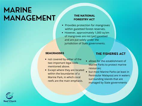 Enhancing Marine Resource Management with AI-Enabled Decision … - raincitystudios.com