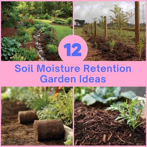 Enhancing Soil Moisture Retention with Drip Methods - raincitystudios.com