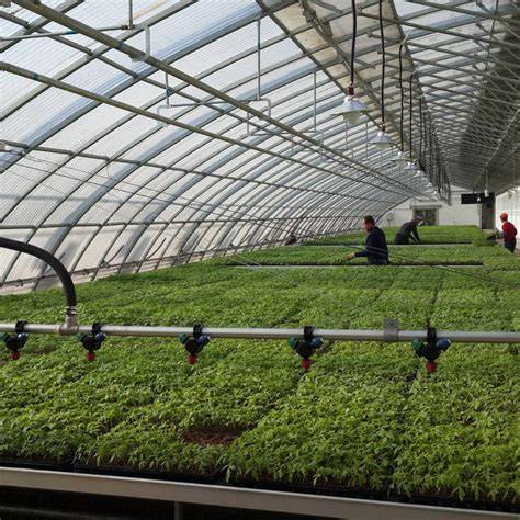 Enhancing the thermal performance of an agricultural solar greenhouse ... - raincitystudios.com