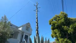 ENORMOUS 27\" Vtg AFRICAN FORK & SPOON SET Hand Carved Wood … - muktibox.com