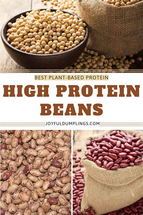 Ensiling Beans for a high energy, high protein forage - raincitystudios.com