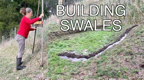 Ensuring water for my New Olive Tree Grove | Swales on Contour ... - raincitystudios.com