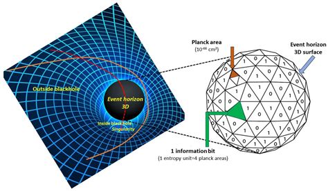 Entropy of dynamical black holes | Phys. Rev. D - wintechmobiles.com
