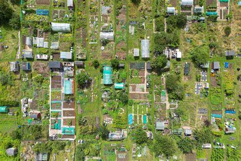 EnviroLink Network - The environmental news site … - raincitystudios.com