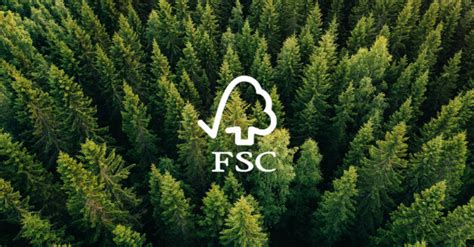 ENVIRONMENT FSC® Certification - Giorgetti Magazine