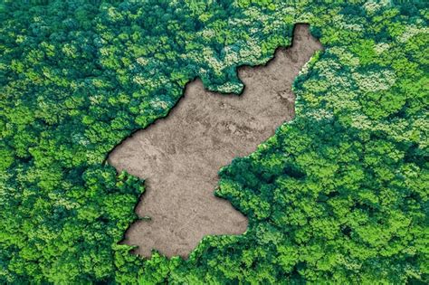 Environment of North Korea - muktibox.com