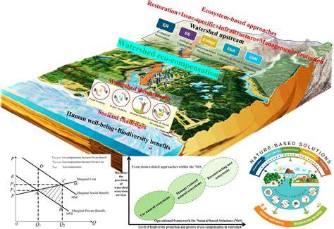 Environmental and socioeconomic implications of ecosystem services … - raincitystudios.com