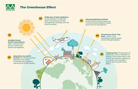 Environmental Chemistry: Greenhouse Gases, Acidification, and - raincitystudios.com