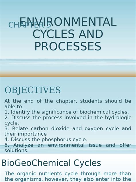 Environmental Cycles - Geographic Book - raincitystudios.com
