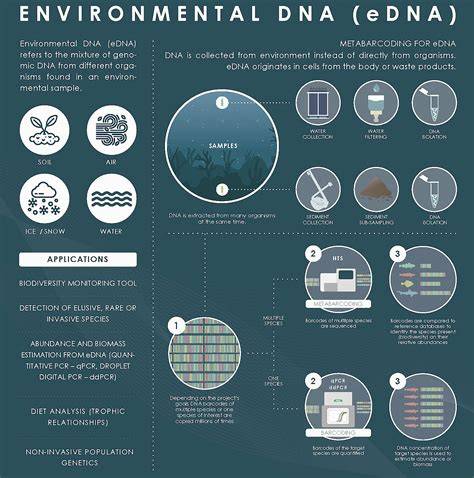 Environmental DNA as a complementary tool for … - raincitystudios.com
