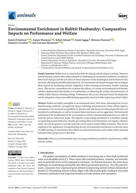 Environmental Enrichment in Rabbit Husbandry: Comparative ... - MDPI - raincitystudios.com