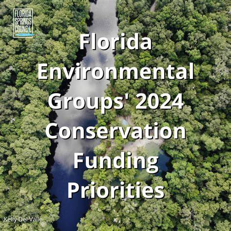 Environmental Groups in Florida - raincitystudios.com